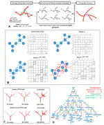 Robust and scalable learning of complex intrinsic dataset geometry via ElPiGraph