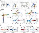 Single-cell trajectories reconstruction, exploration and mapping of omics data with STREAM