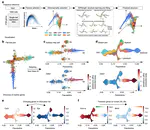 Single-cell trajectories reconstruction, exploration and mapping of omics data with STREAM