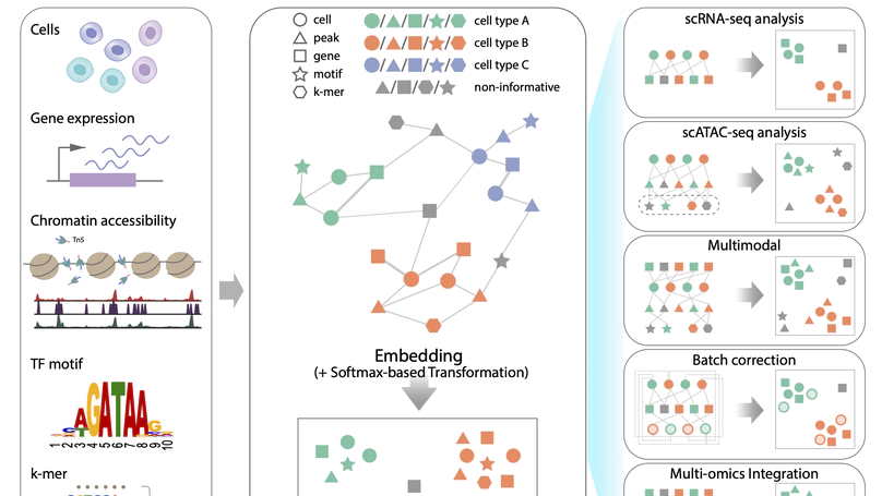 SIMBA: SIngle-cell eMBedding Along with features