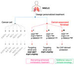 Three subtypes of lung cancer fibroblasts define distinct therapeutic paradigms
