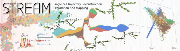 GiniClust: Detecting Rare Cell Types From Single-cell Gene Expression ...