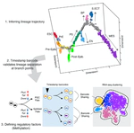 Parallel single-cell RNA-seq and genetic recording reveals lineage decisions in developing embryoid bodies