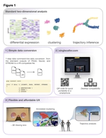 singlecellVR: Interactive Visualization of Single-Cell Data in Virtual Reality