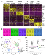 Dissecting hematopoietic and renal cell heterogeneity in adult zebrafish at single-cell resolution using RNA sequencing