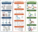 Current progress and potential opportunities to infer single-cell developmental trajectory and cell fate